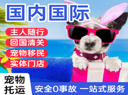 青岛机场邮寄国际宠物托运 【国